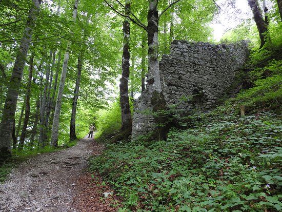 Burg Vilsegg