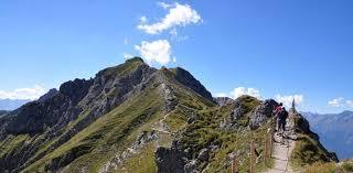 Harmelekopf