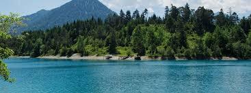 Urisee