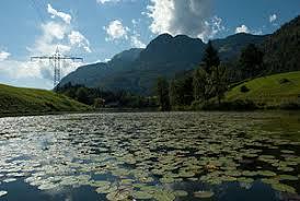 der Krummsee