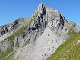 der Stanskogel