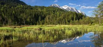 Riedener See
