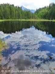 der Amberger See