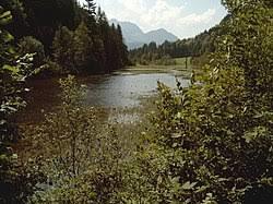 der Wiesensee