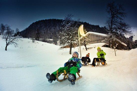 Rodelverleih Hohe Salve
