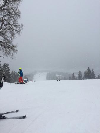 Ski - & Snowboardschule Busslehner