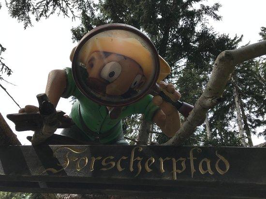 Forscherpfad Wanderweg