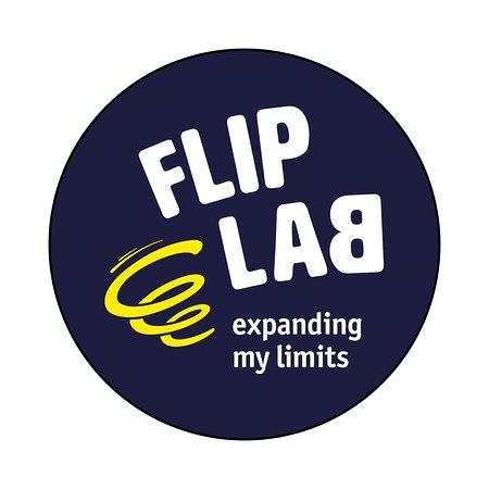 Flip Lab