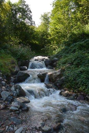 Eifersbacher Waterfall Wanderweg