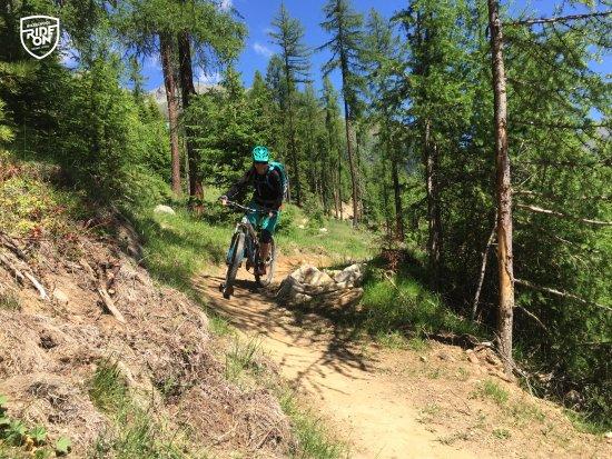 Bikeschool RIDE ON