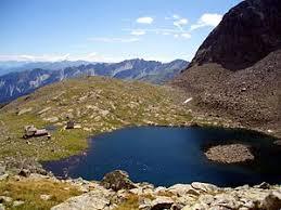 Sandessee